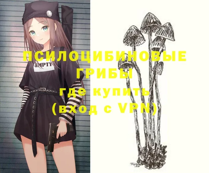 hydra   Сосновоборск  Галлюциногенные грибы Magic Shrooms 